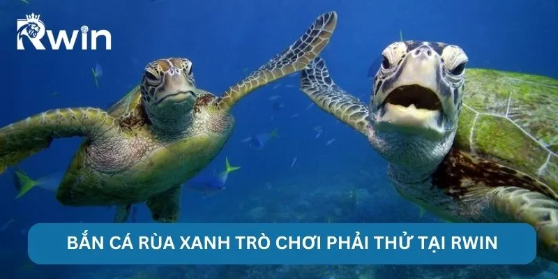 Bắn Cá Rùa Xanh - RWIN Chinh Phục Ngư Trường Nhiều Kho Báu 2 Bắn cá rùa xanh trò chơi phải thử tại RWIN