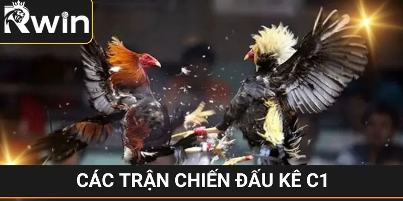 Đá Gà C1 - Siêu Phẩm Giải Trí Cực Ăn Khách Tại RWIN 4 Tổng hợp các sản phẩm C1 trong đấu gà RWIN