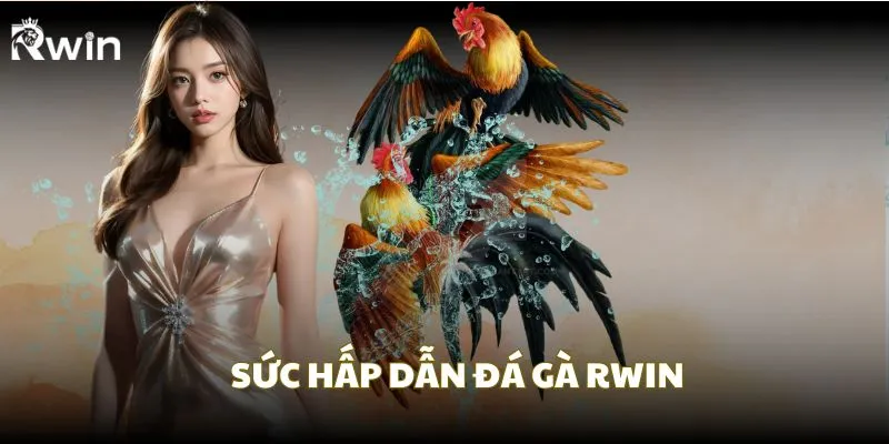 Sức hấp dẫn của đá gà RWin hấp dẫn người chơi
