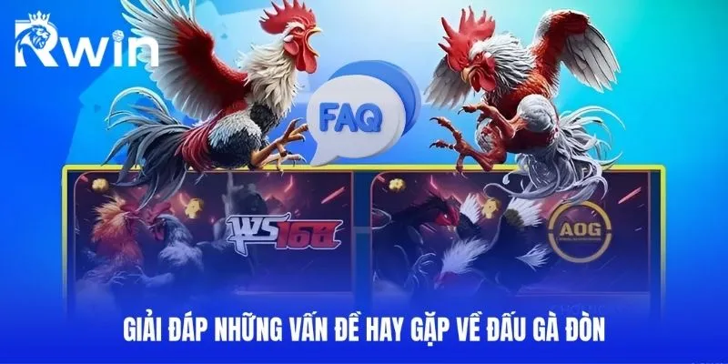 Đá Gà Đòn - Cách Nhận Dạng Và Chơi Hiệu Quả Tại RWIN 4 Giải đáp những vấn đề hay gặp về đấu gà đòn