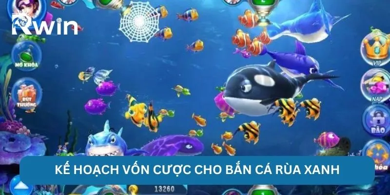 Bắn Cá Rùa Xanh - RWIN Chinh Phục Ngư Trường Nhiều Kho Báu 6 Kế hoạch vốn cược cho bắn cá rùa xanh