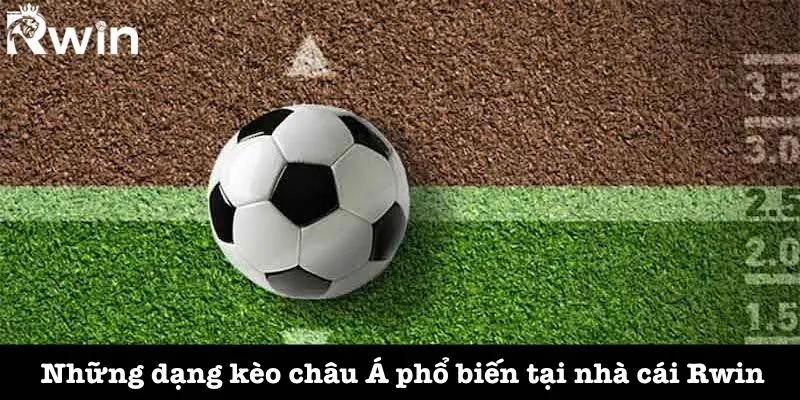 Kèo châu Á - Tỷ lệ cược bóng đá được ưa chuộng hàng đầu 4 Các hình thức phổ biến của kèo châu Á Rwin