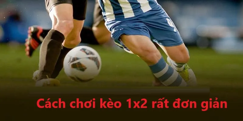 Kèo Châu Âu Là Gì? Bí Kíp Chơi Hiệu Quả Tại Nền Tảng RWIN 3 Kèo châu Âu với cách vận hành vô cùng đơn giản