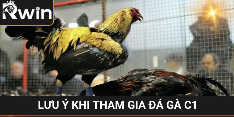 Đá Gà C1 - Siêu Phẩm Giải Trí Cực Ăn Khách Tại RWIN 5 Lưu ý khi tham gia đá gà C1 tại đơn vị RWIN