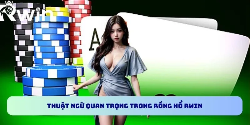 Rồng Hổ RWIN - Bật Mí Cách Chơi Và Chiến Thuật Hiệu Quả 4 Thuật ngữ quan trọng trong Rồng Hổ RWIN