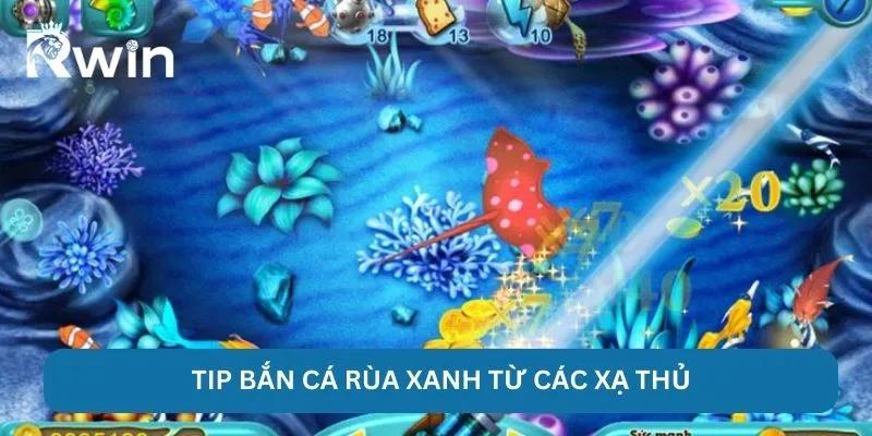 Bắn Cá Rùa Xanh - RWIN Chinh Phục Ngư Trường Nhiều Kho Báu 5 Tip bắn cá rùa xanh từ các xạ thủ